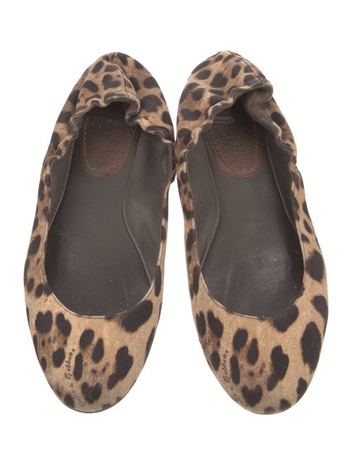 Dolce & Gabbana Canvas Animal Print Flats