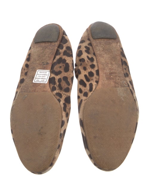 Dolce & Gabbana Canvas Animal Print Flats