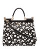 Dolce & Gabbana Top Handle Bag