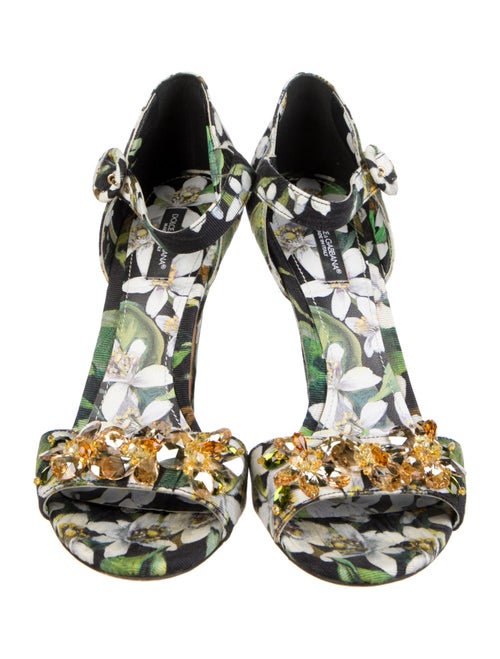 Dolce & Gabbana Canvas Floral Print Sandals