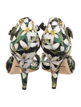Dolce & Gabbana Canvas Floral Print Sandals