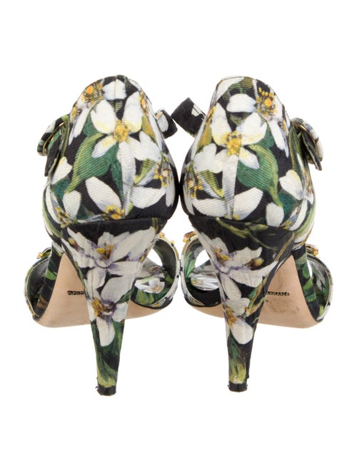 Dolce & Gabbana Canvas Floral Print Sandals