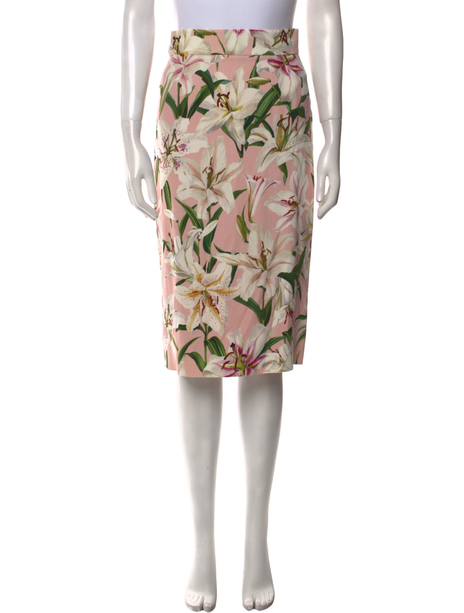 Dolce & Gabbana Floral Print Knee-Length Skirt