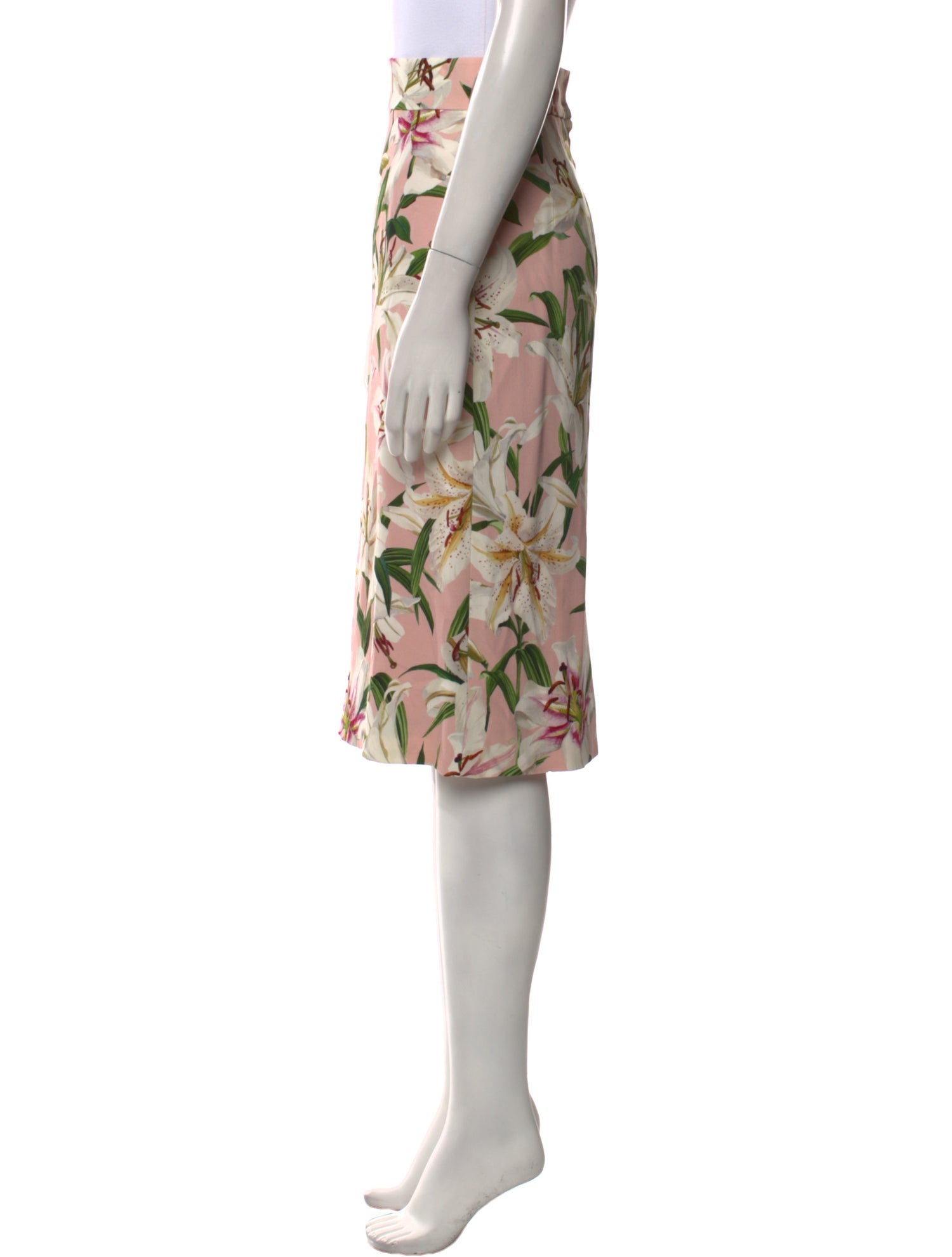 Dolce & Gabbana Floral Print Knee-Length Skirt