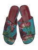 Dolce & Gabbana Nylon Floral Print Slides