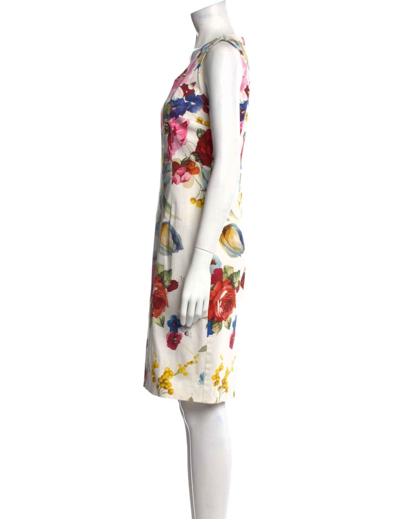 Dolce & Gabbana Floral Print Knee-Length Dress