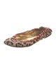 Dolce & Gabbana Printed Studded Accents Ballet Flats
