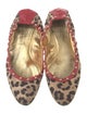 Dolce & Gabbana Printed Studded Accents Ballet Flats