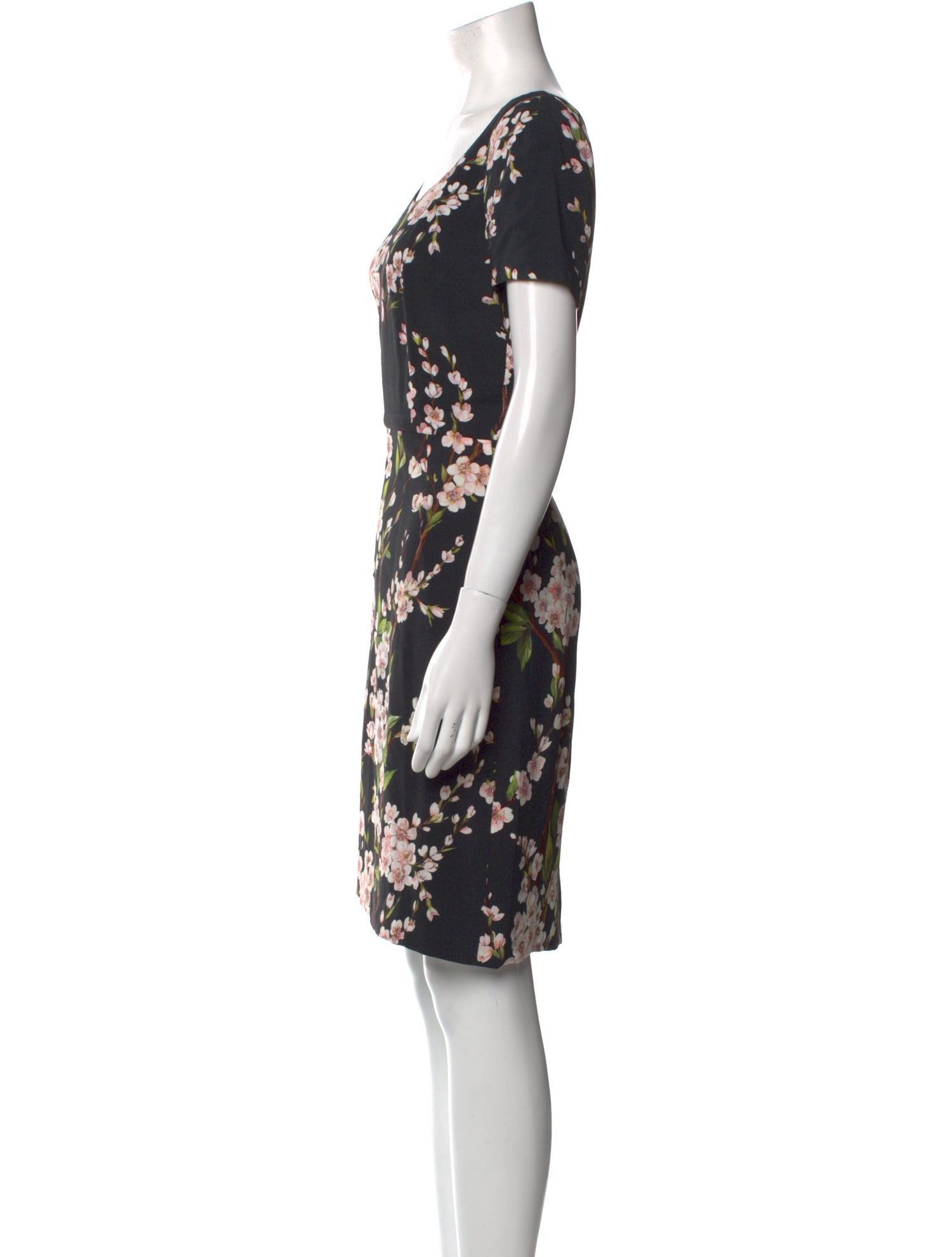Dolce & Gabbana Floral Print Knee-Length Dress