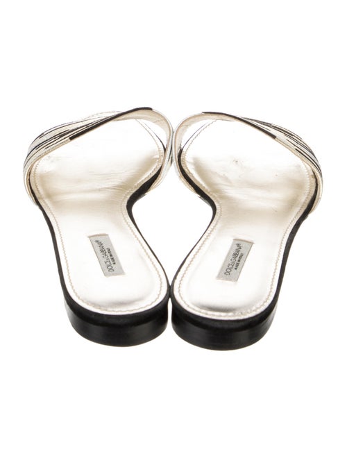 Dolce & Gabbana Leather Printed Slides