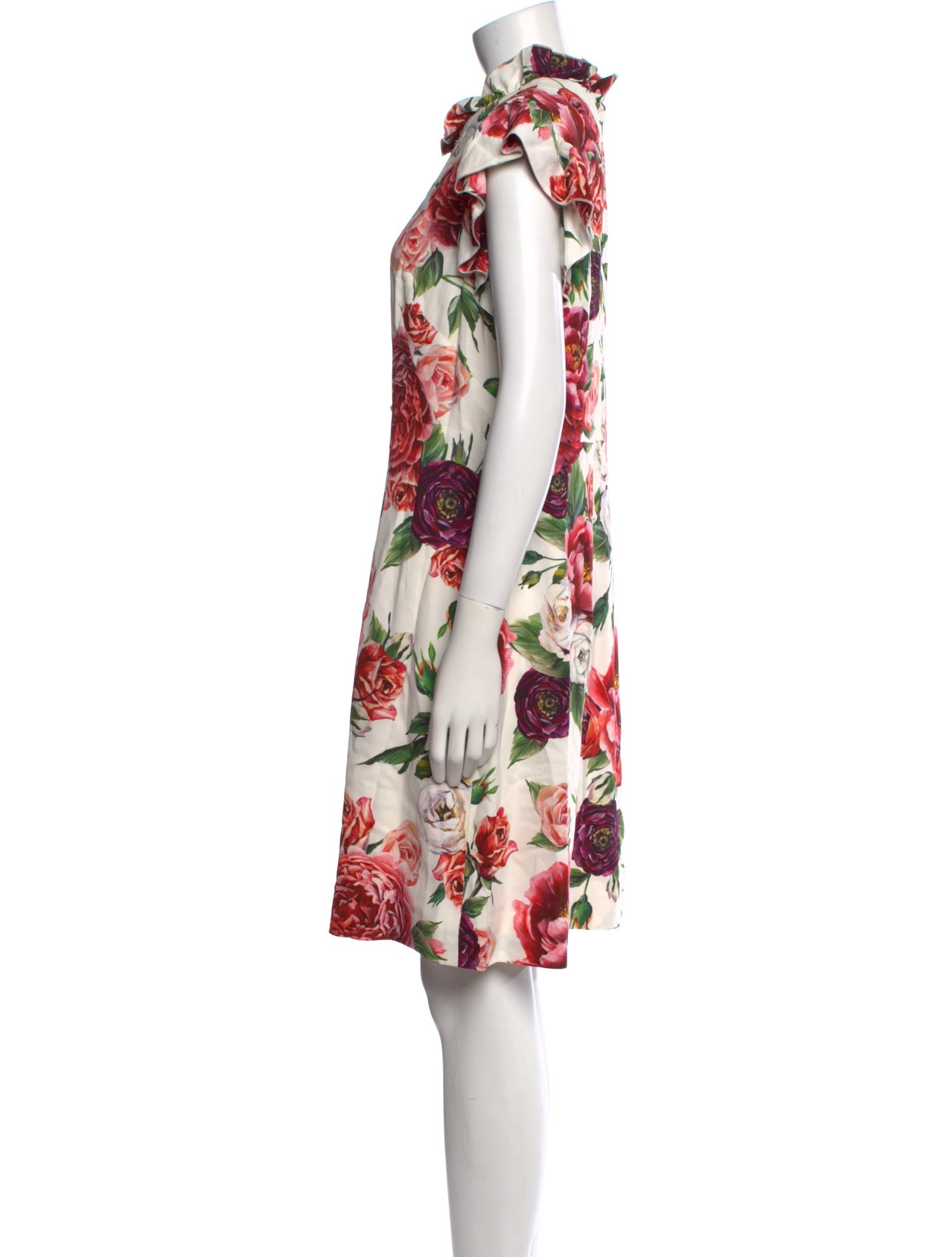 Dolce & Gabbana Floral Print Knee-Length Dress