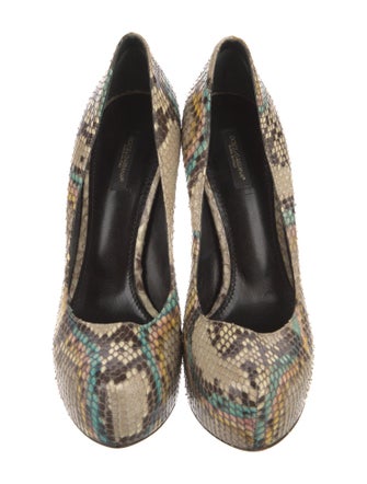 Dolce & Gabbana Snakeskin Animal Print Pumps