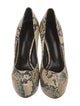 Dolce & Gabbana Snakeskin Animal Print Pumps