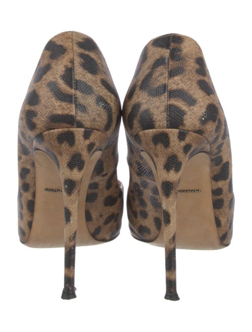 Dolce & Gabbana Leather Animal Print Pumps