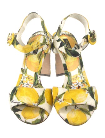 Dolce & Gabbana Canvas Printed Sandals