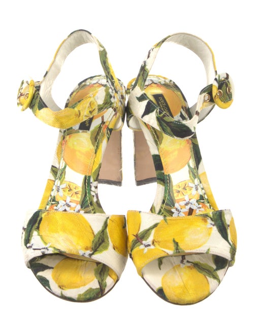 Dolce & Gabbana Canvas Printed Sandals