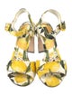 Dolce & Gabbana Canvas Printed Sandals