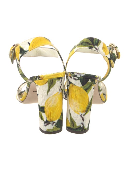 Dolce & Gabbana Canvas Printed Sandals