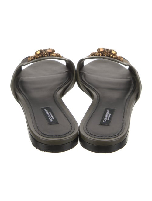 Dolce & Gabbana Canvas Printed Slides