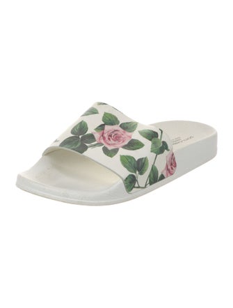 Dolce & Gabbana Rubber Floral Print Slides