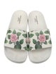 Dolce & Gabbana Rubber Floral Print Slides