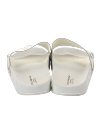Dolce & Gabbana Rubber Floral Print Slides
