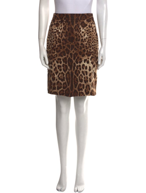Dolce & Gabbana Animal Print Mini Skirt