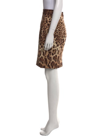 Dolce & Gabbana Animal Print Mini Skirt