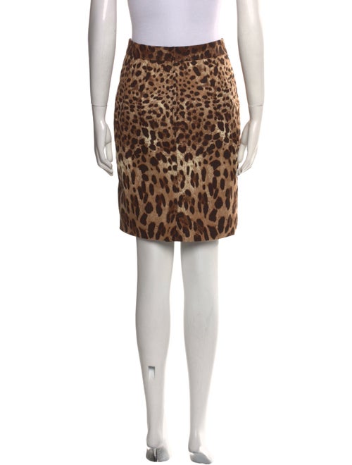 Dolce & Gabbana Animal Print Mini Skirt