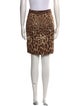 Dolce & Gabbana Animal Print Mini Skirt