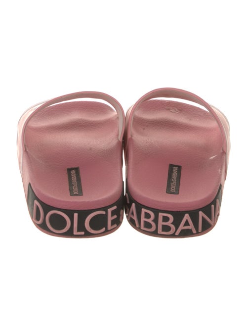Dolce & Gabbana Rubber Printed Slides