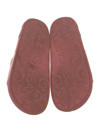 Dolce & Gabbana Rubber Printed Slides