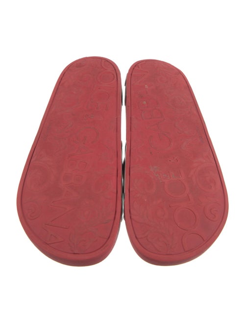 Dolce & Gabbana Signature Logo Rubber Slides