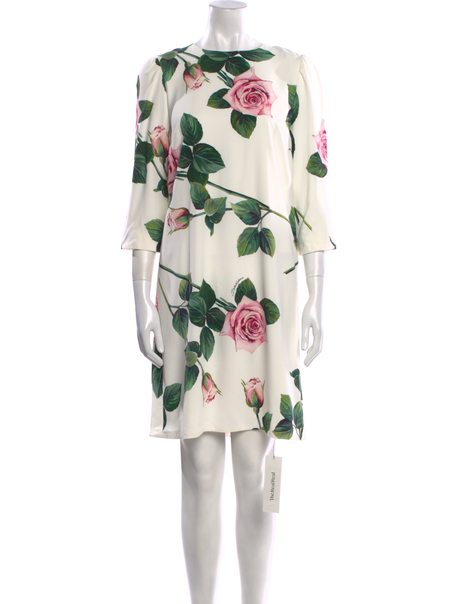 Dolce & Gabbana Floral Print Knee-Length Dress