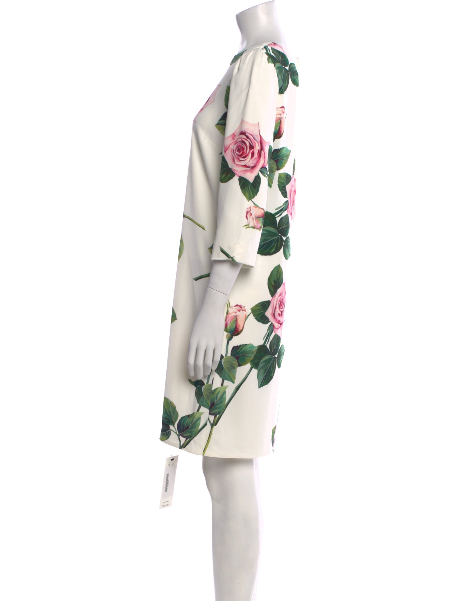 Dolce & Gabbana Floral Print Knee-Length Dress