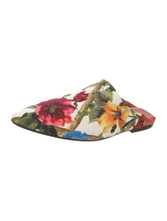 Dolce & Gabbana Floral Print Mules