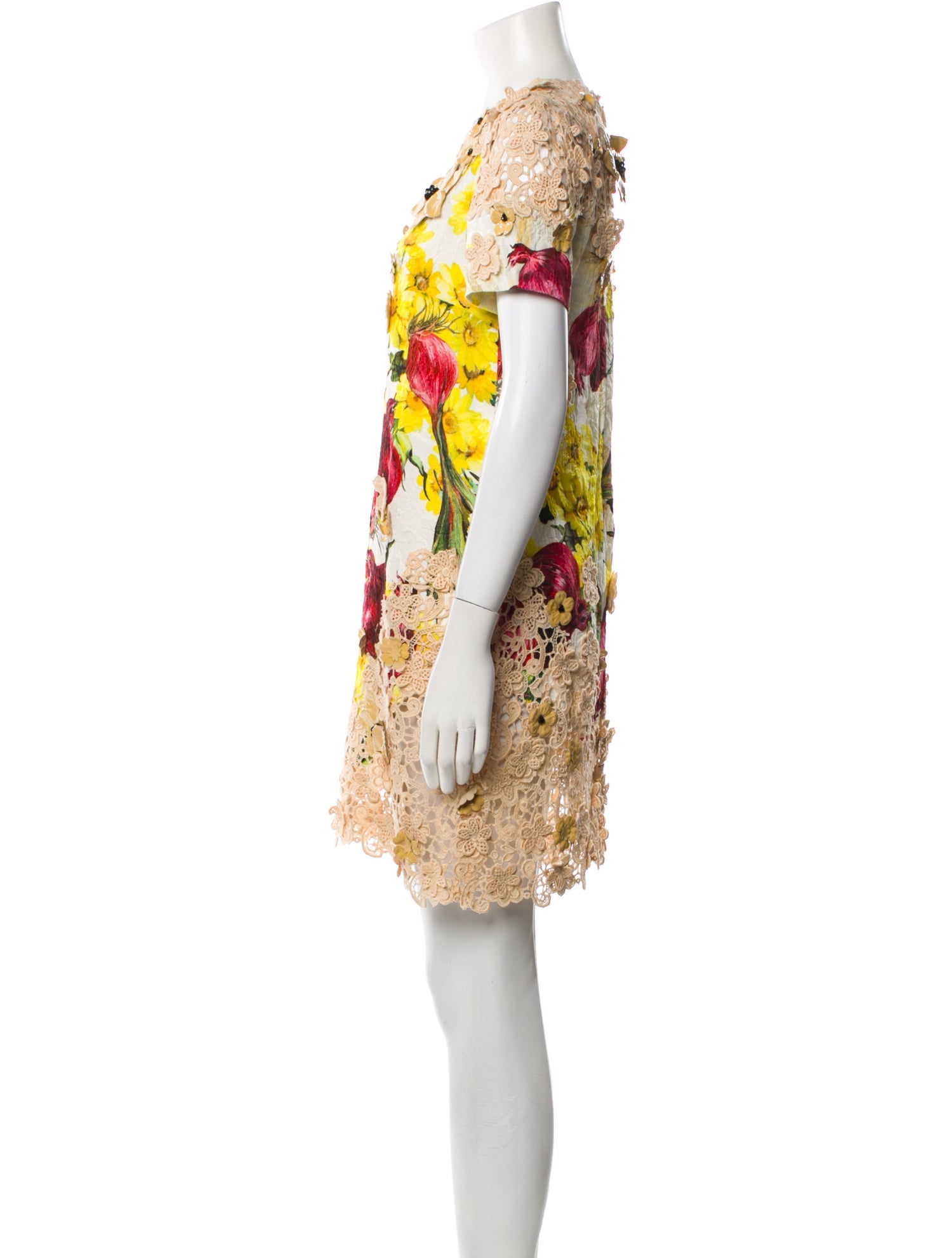 Dolce & Gabbana Floral Print Mini Dress