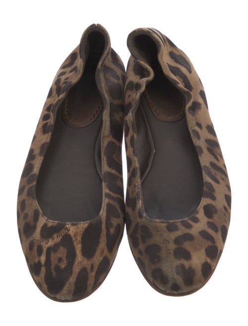Dolce & Gabbana Canvas Animal Print Ballet Flats