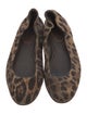 Dolce & Gabbana Canvas Animal Print Ballet Flats