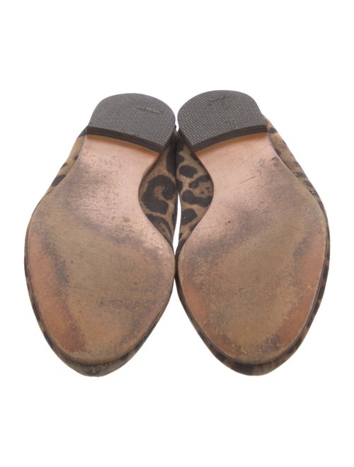 Dolce & Gabbana Canvas Animal Print Ballet Flats
