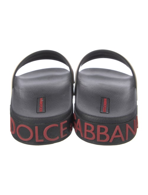 Dolce & Gabbana Rubber Printed Slides