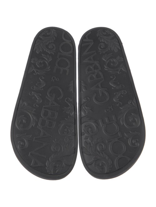Dolce & Gabbana Rubber Printed Slides