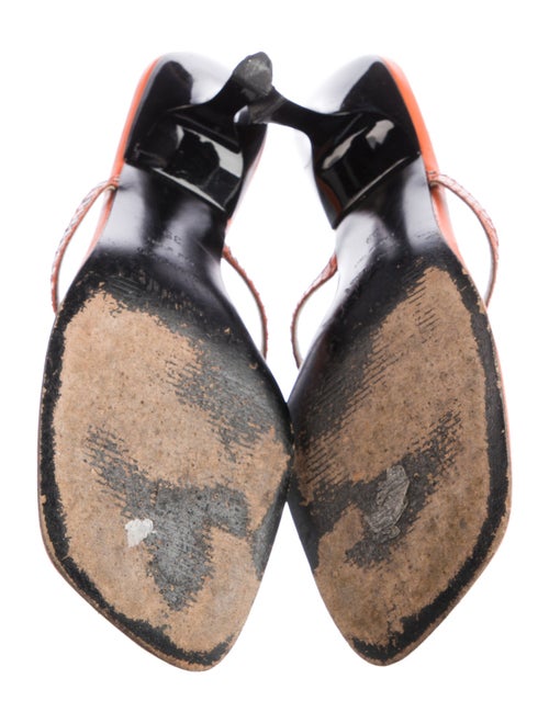 Dolce & Gabbana Snakeskin Slides