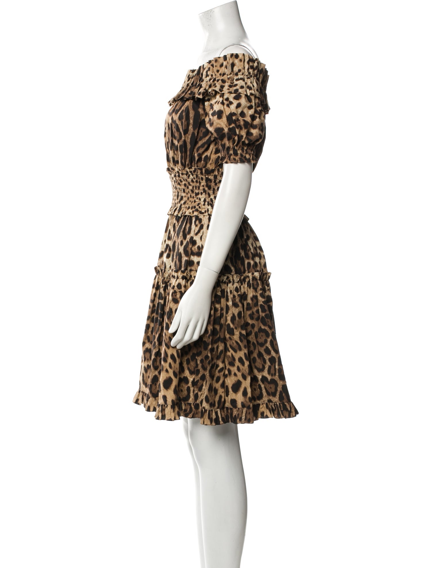 Dolce & Gabbana Animal Print Mini Dress