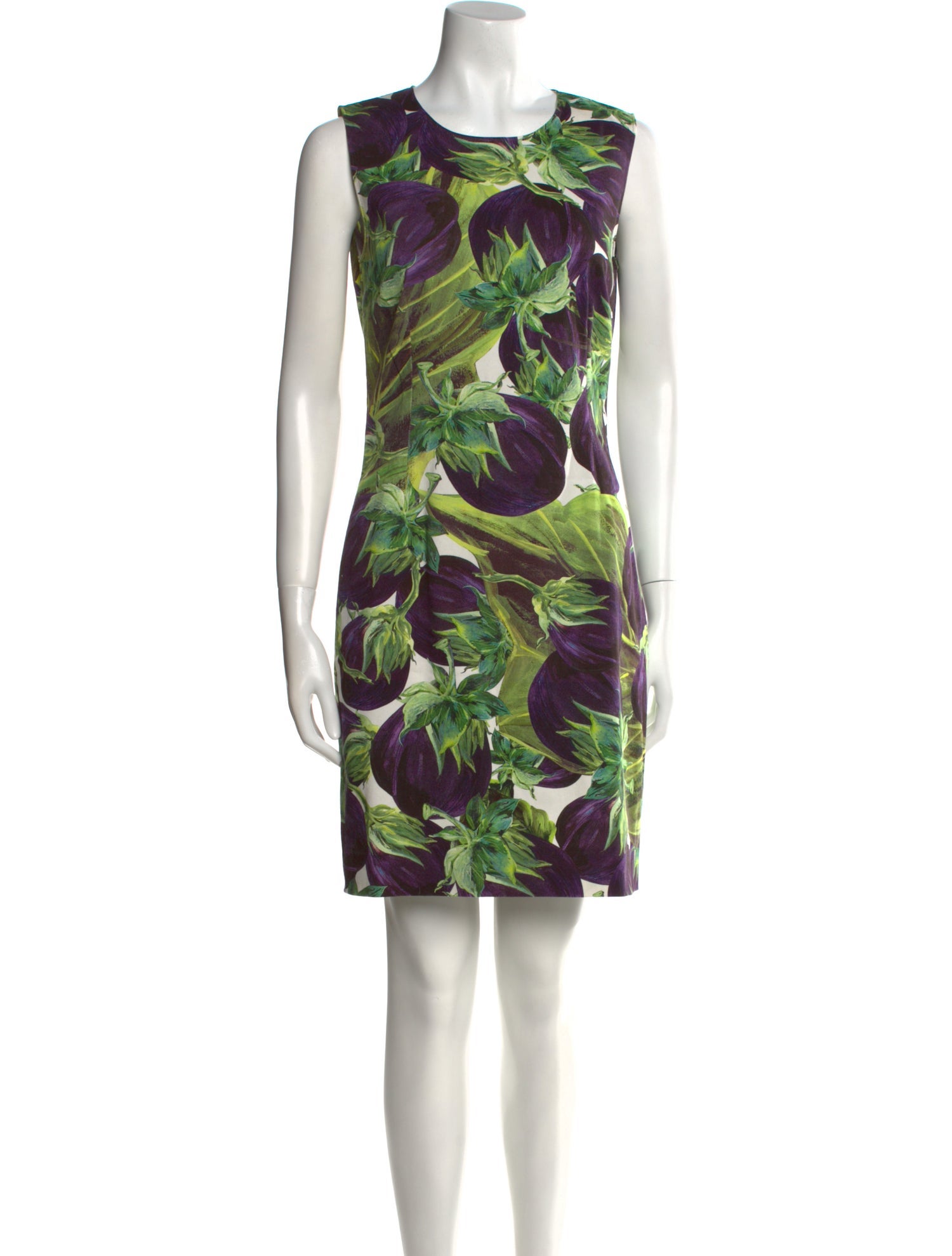 Dolce & Gabbana Floral Print Mini Dress