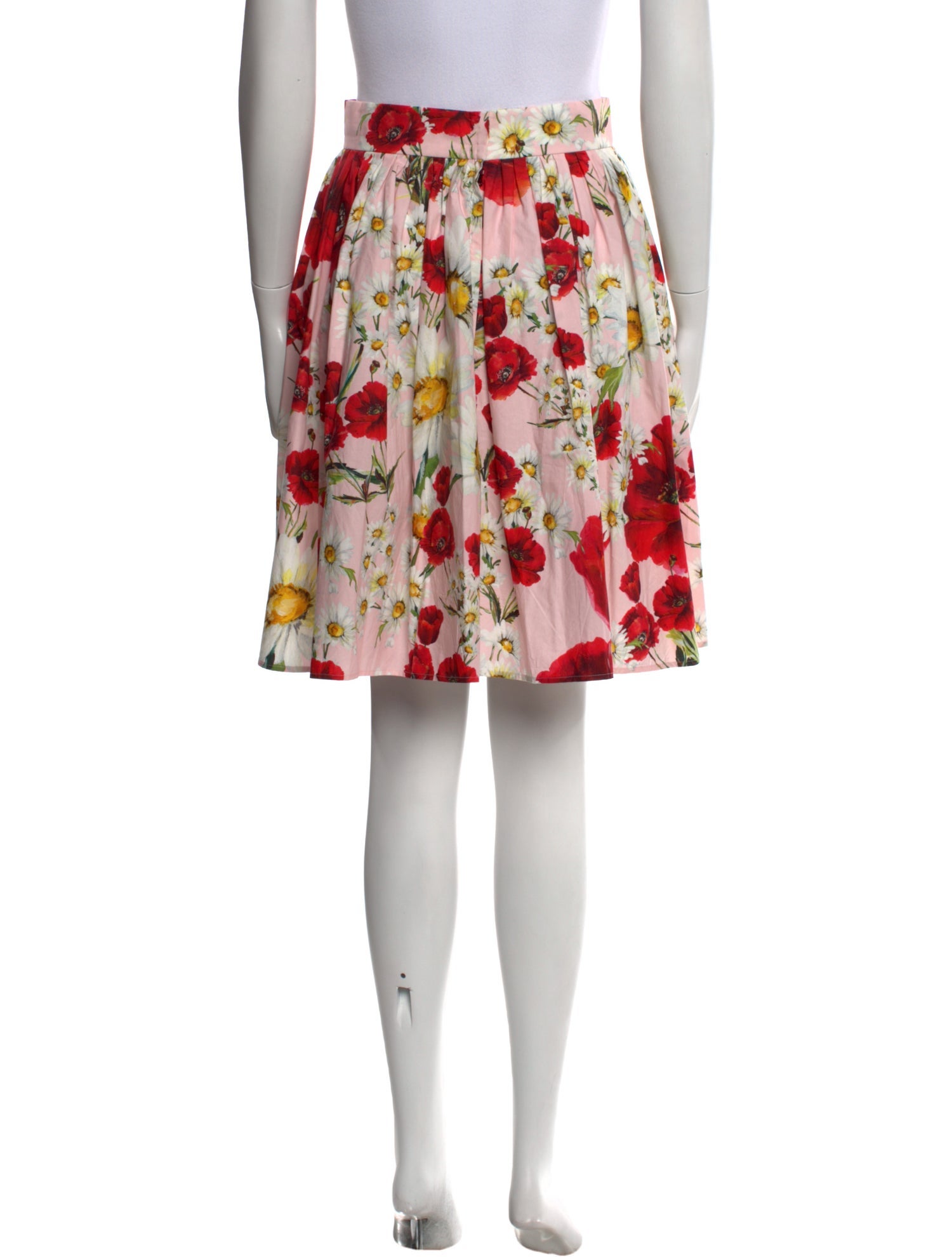 Dolce & Gabbana Floral Print Knee-Length Skirt