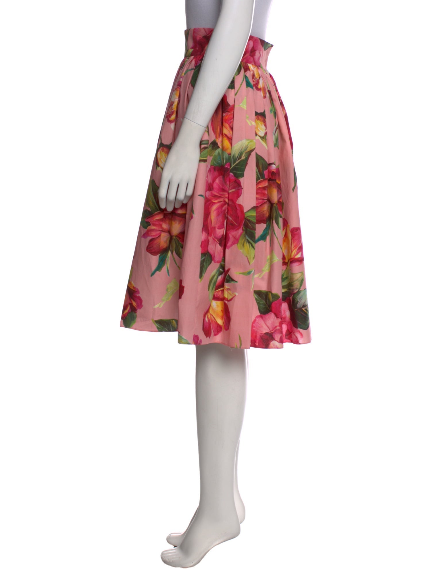 Dolce & Gabbana Floral Print Knee-Length Skirt