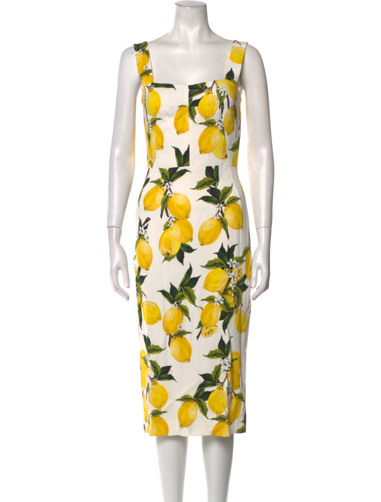 Dolce & Gabbana Floral Print Midi Length Dress