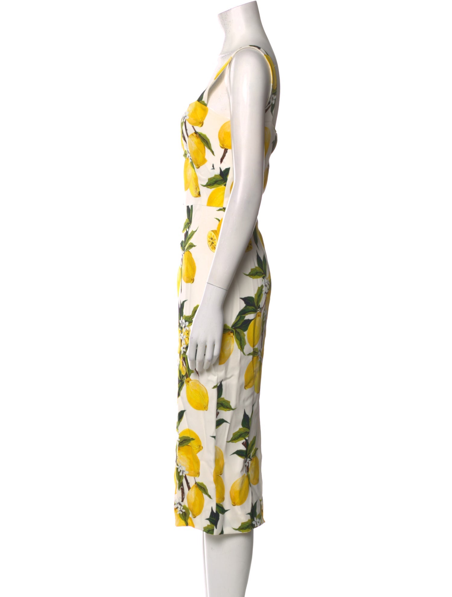 Dolce & Gabbana Floral Print Midi Length Dress
