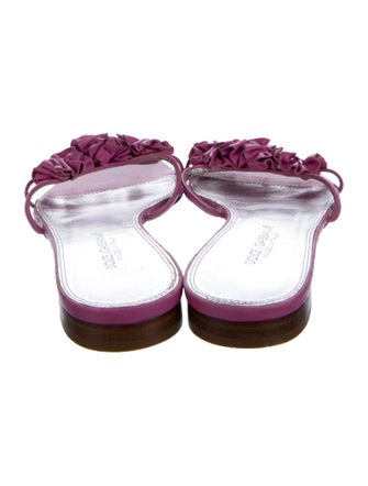 Dolce & Gabbana Leather Ruffle Embellishment Slides
